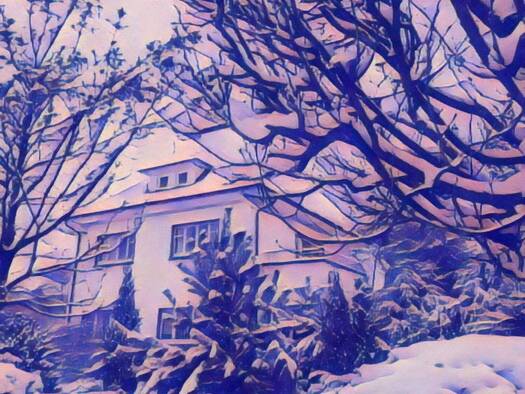 Villa zum Kauf 7 Zimmer 174,5 m² 1.195 m² Grundstück Vechta 49377