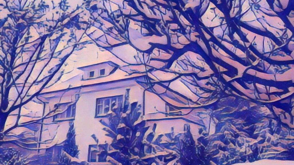 Villa zum Kauf 7 Zimmer 174,5 m² 1.195 m² Grundstück Vechta 49377