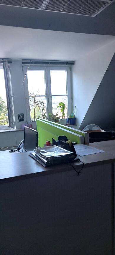 Praxisfläche zur Miete provisionsfrei 20 € 10 Zimmer 405 m² Bürofläche Ludwigsvorstadt-Isarvorstadt München 80335