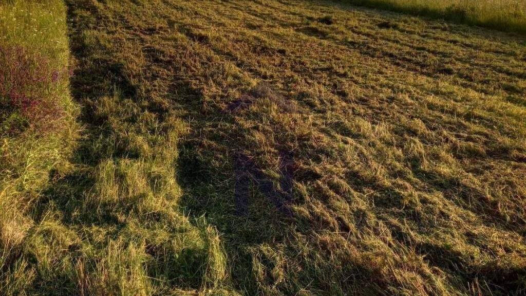 Land-/Forstwirtschaft zum Kauf 33.000 € Nin