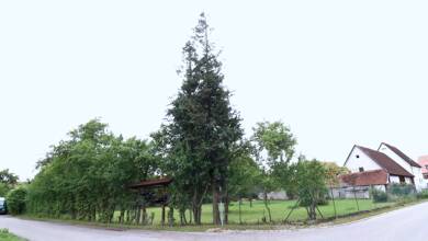 Bauernhaus zum Kauf 520.000 € 2.310 m² Grundstück Seißen Blaubeuren 89143