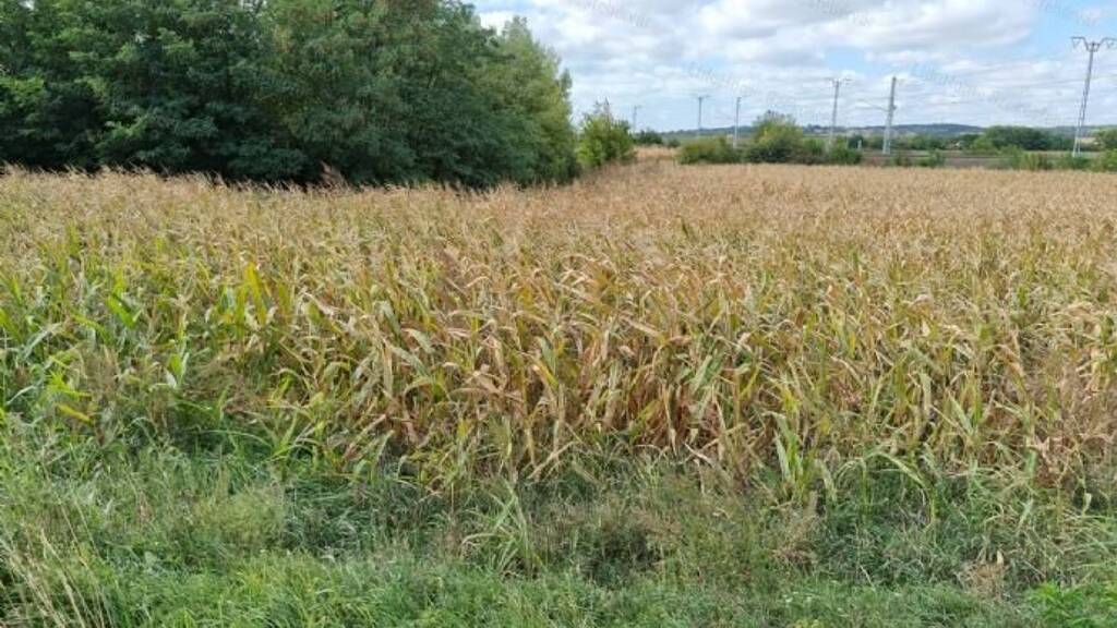 Grundstück zum Kauf 16.900 € 4.500 m² Grundstück Polgárdi