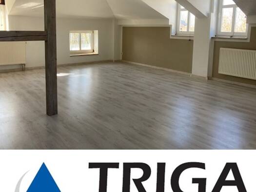 Wohnung zur Miete 528 € 2 Zimmer 88,1 m² 2. Geschoss Nordhausen 99734