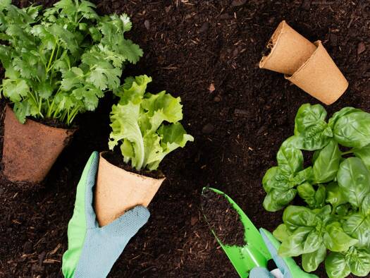 Freizeitgrundstück zum Kauf - Erstbezug 40.000 € Aigen I Salzburg 5026