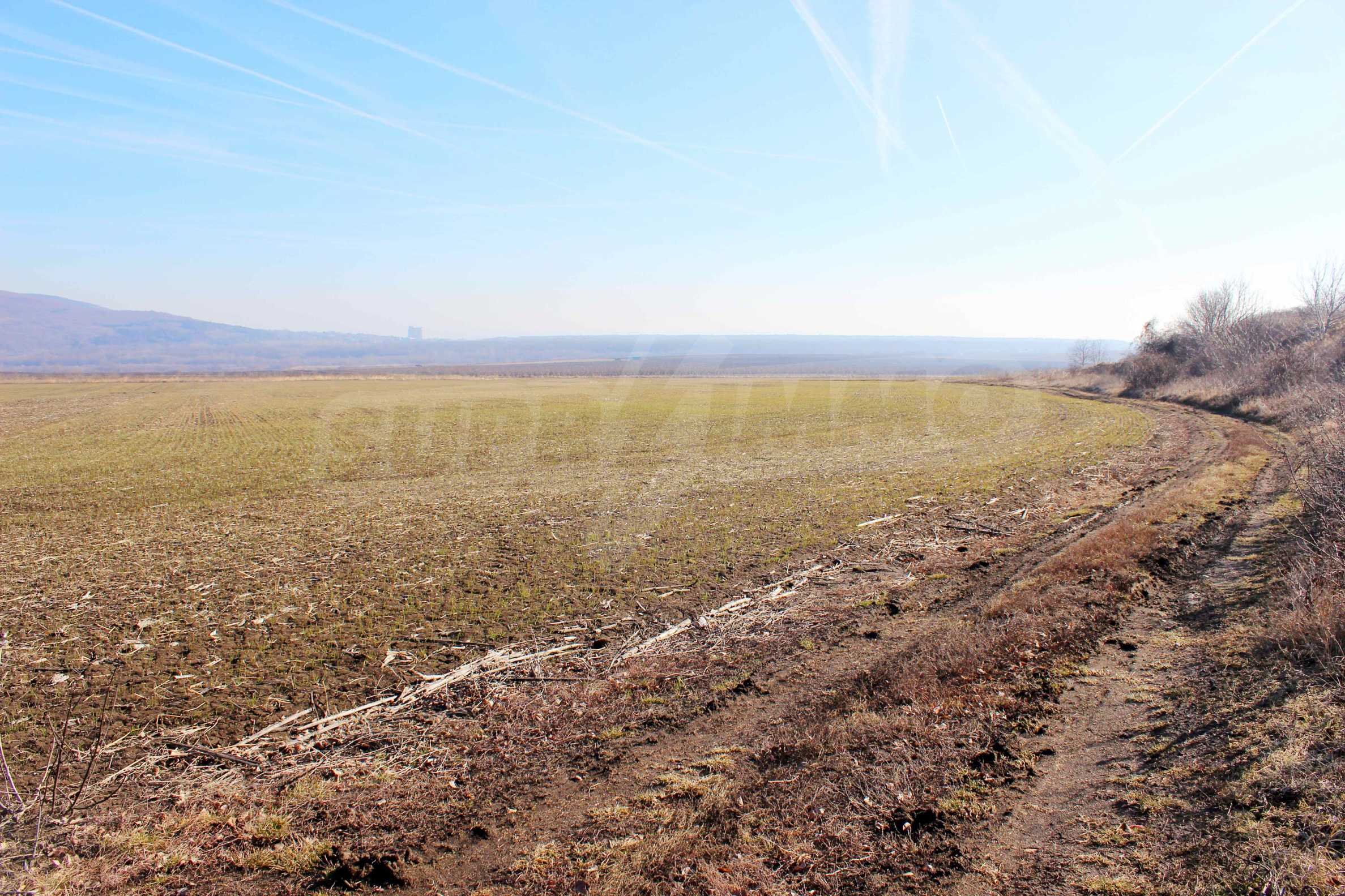 Landwirtschaftliche Fläche zum Kauf 63.000 € Rogachevo