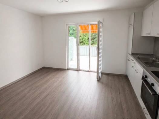 Terrassenwohnung zur Miete 550 € 1,5 Zimmer 40 m² Geschoss 1/2 frei ab 01.10.2026 Schwaibach Gengenbach 77723