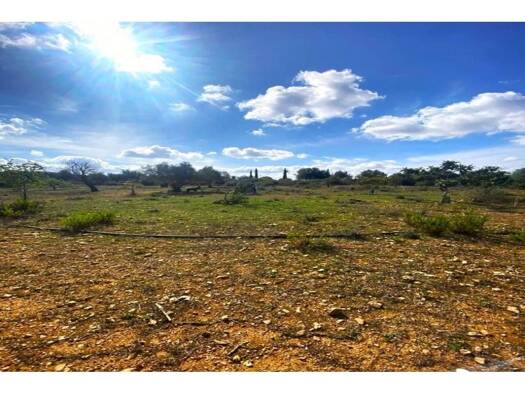 Acker-/Waldstück zum Kauf 215.000 € Vilafranca de Bonany 07250