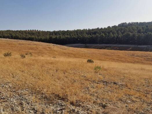 Acker-/Waldstück zum Kauf 300.000 € Polígono 9 Parcela 113 Santa Fe 18320