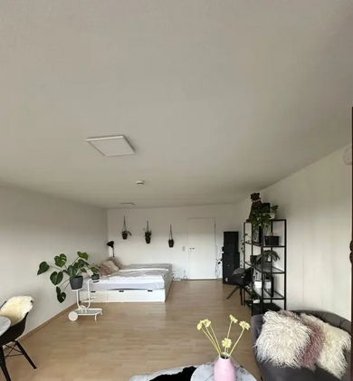 Wohnung zur Miete 420 € 1 Zimmer 50 m² Nahlstraße 7 Mitte Kassel 34117