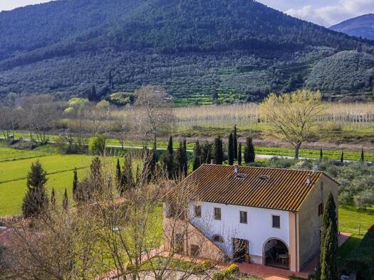 Haus zum Kauf 930.000 € 702 m² Vicopisano 56010