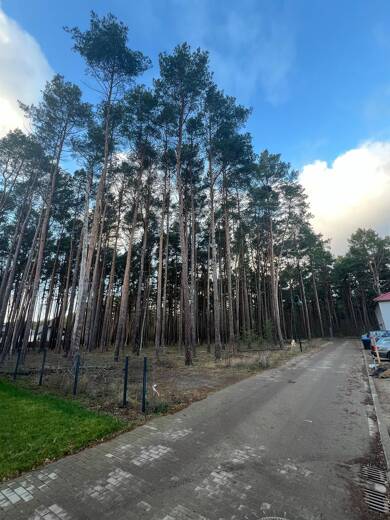 Grundstück zum Kauf provisionsfrei 168.420 € 802 m² Grundstück Borkwalde 14822