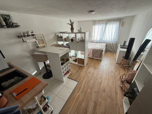 Wohnung zur Miete 330 € 1 Zimmer 26 m² 3. Geschoss Im Dechand Heidesheim am Rhein 55262