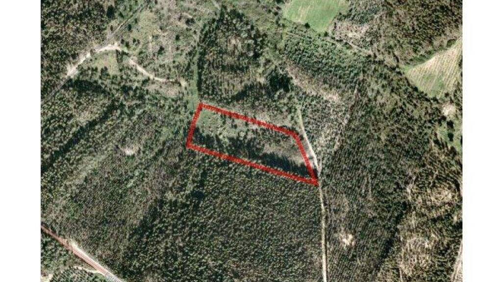 Grundstück zum Kauf 10.000 € 8.920 m² Grundstück Rio Maior