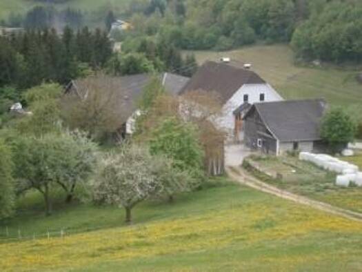 Bauernhaus zum Kauf 780.000 € 7 Zimmer 230 m² 120.997 m² Grundstück Waldhausen im Strudengau 4391