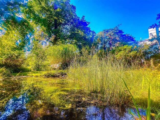 Wohnung zum Kauf 1.449.000 € 5 Zimmer 220 m² Dahlem Berlin 14195