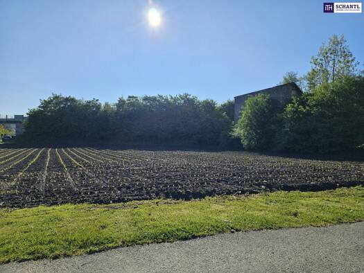 Grundstück zum Kauf 589.000 € 1.473 m² Grundstück Stainz 8510