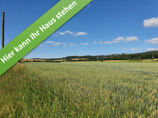 Einfamilienhaus zum Kauf - Erstbezug provisionsfrei 267.290 € 4 Zimmer 106 m² 657 m² Grundstück Am Sweenhof Münchehof Seesen 38723