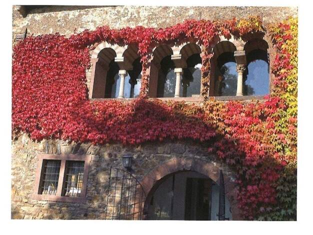 Einfamilienhaus zum Kauf provisionsfrei 6 Zimmer 360 m² 954 m² Grundstück Graugasse 8 Winkel Oestrich-Winkel 65375