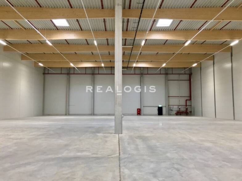 Halle/Industriefläche zur Miete provisionsfrei 880 m² Lagerfläche Gremberghoven Köln 51149