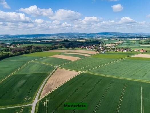 Land-/Forstwirtschaft zum Kauf 23.292 € 5.821 m² Grundstück Auerbach 8242