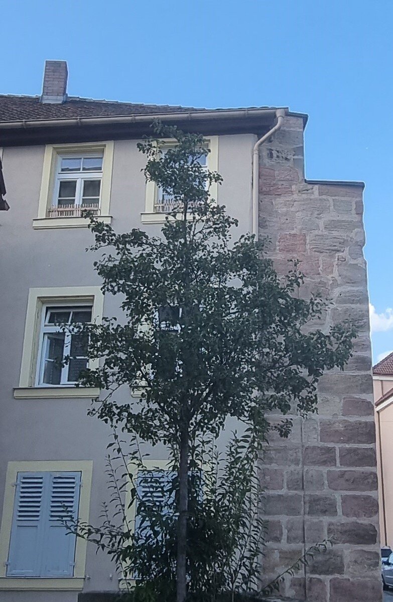 Mehrfamilienhaus zum Kauf provisionsfrei 479.000 € 12 Zimmer 304 m²<br/>Wohnfläche 244 m²<br/>Grundstück Stadtmitte Schwabach 91126