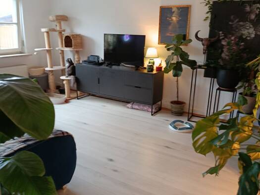 Wohnung zur Miete 520 € 2 Zimmer 55 m² EG frei ab 01.02.2026 Riedheim Hilzingen 78247