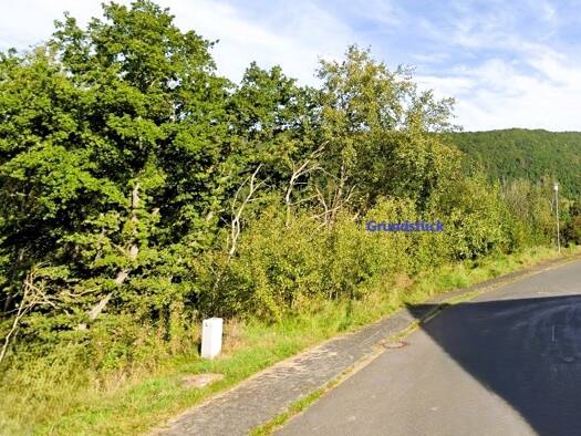 Grundstück zum Kauf 185.000 € 1.400 m² Grundstück Gemünd Schleiden 53937