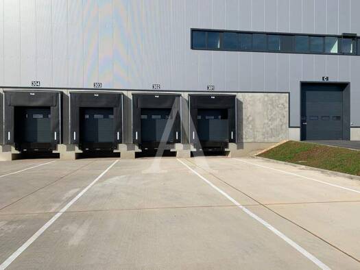 Halle/Industriefläche zur Miete provisionsfrei 11.694 m² Lagerfläche teilbar ab 11.694 m² Tiefenbroich Ratingen 40880