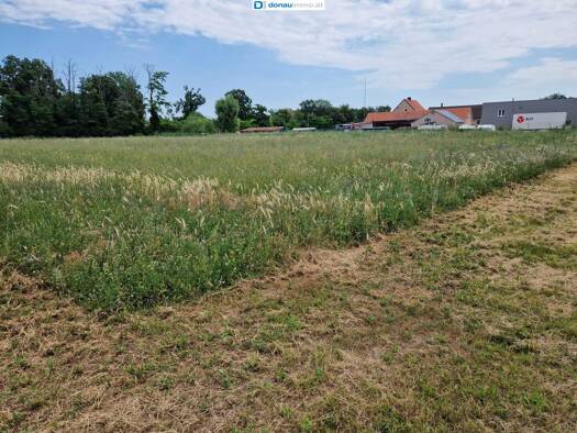 Grundstück zum Kauf 1.920.000 € 5.821 m² Grundstück Theresienfeld 2604