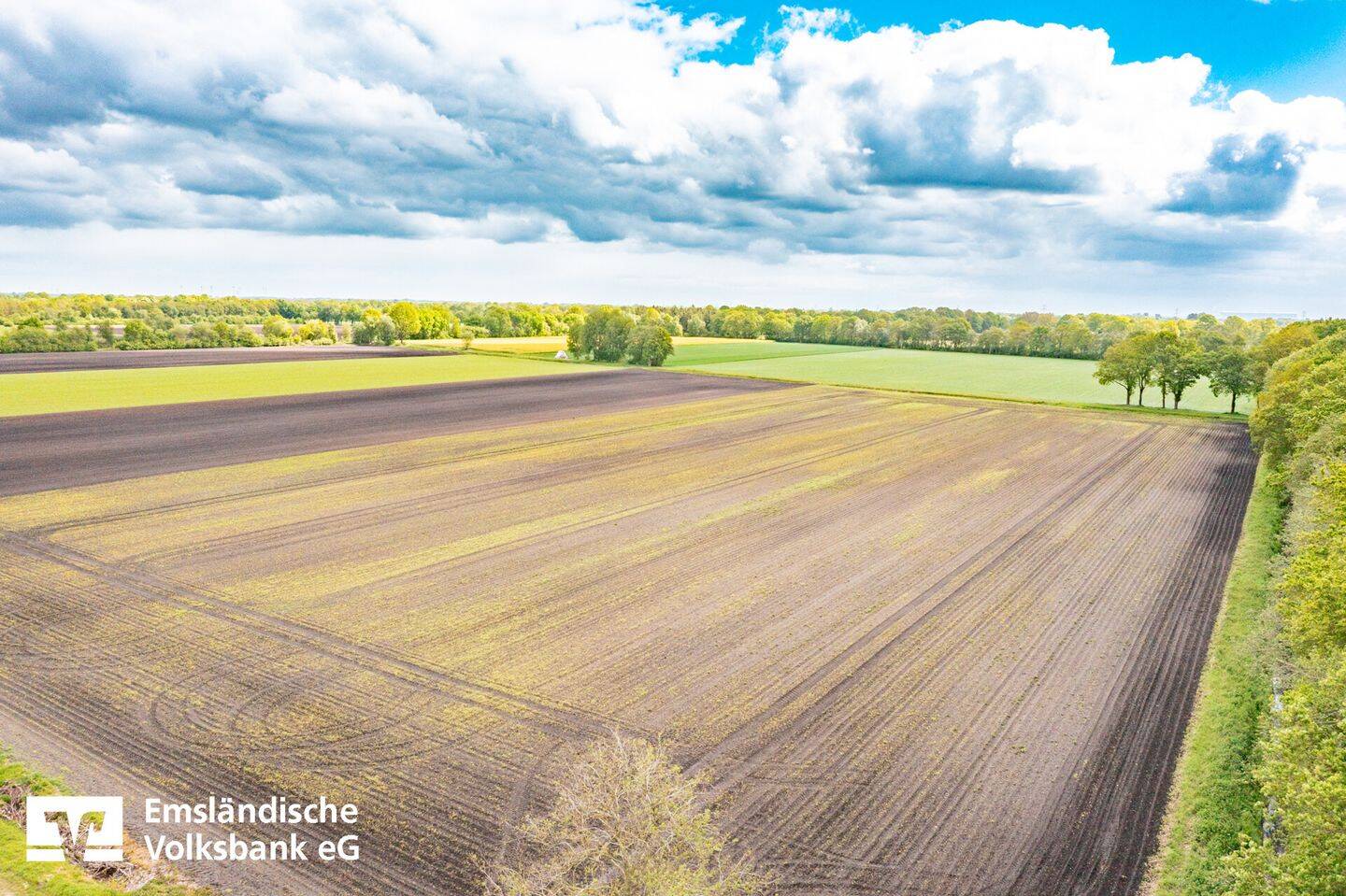 Land-/Forstwirtschaft zum Kauf - Ansicht 4