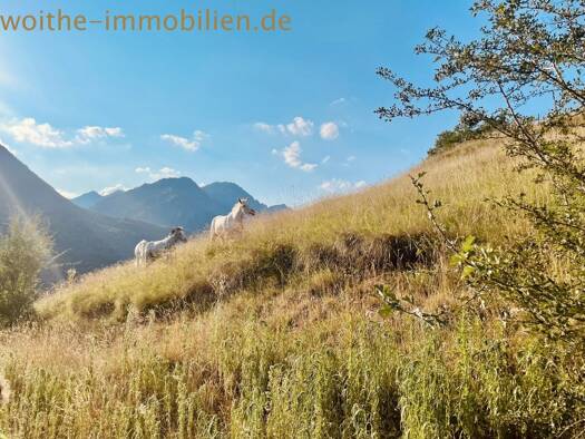 Rustico zum Kauf 235.000 € 2 Zimmer 90 m² 20.000 m² Grundstück Carignano 25080