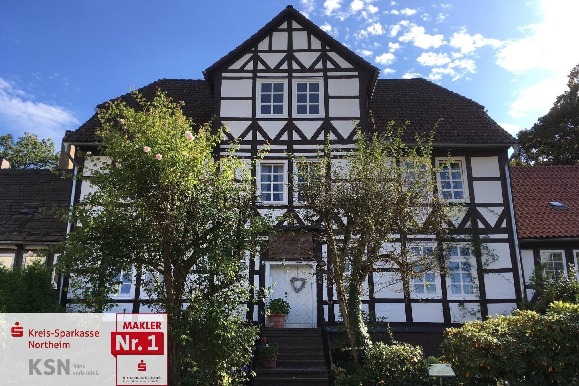 Mehrfamilienhaus zum Kauf 179.000 € 11 Zimmer 303 m²<br/>Wohnfläche 281 m²<br/>Grundstück Dassel Dassel 37586