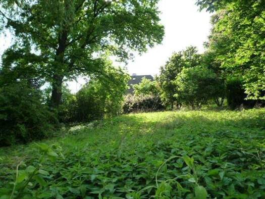 Grundstück zum Kauf 85.000 € 1.166 m² Grundstück Raab 4760