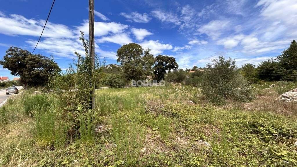 Land-/Forstwirtschaft zum Kauf 112.650 € Preko