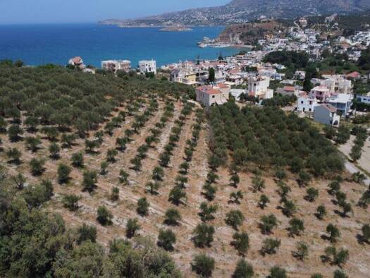 Grundstück zum Kauf 1.380.000 € 4.605 m² Grundstück Kreta Municipality of Apokoronas 730 03
