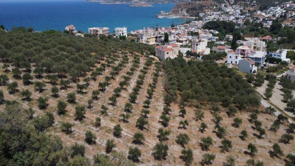 Grundstück zum Kauf 1.380.000 € 4.605 m² Grundstück Kreta Kalyves 730 03