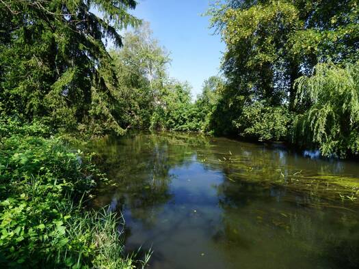 Grundstück zum Kauf 280.000 € 835 m² Grundstück Freistett Rheinau 77866