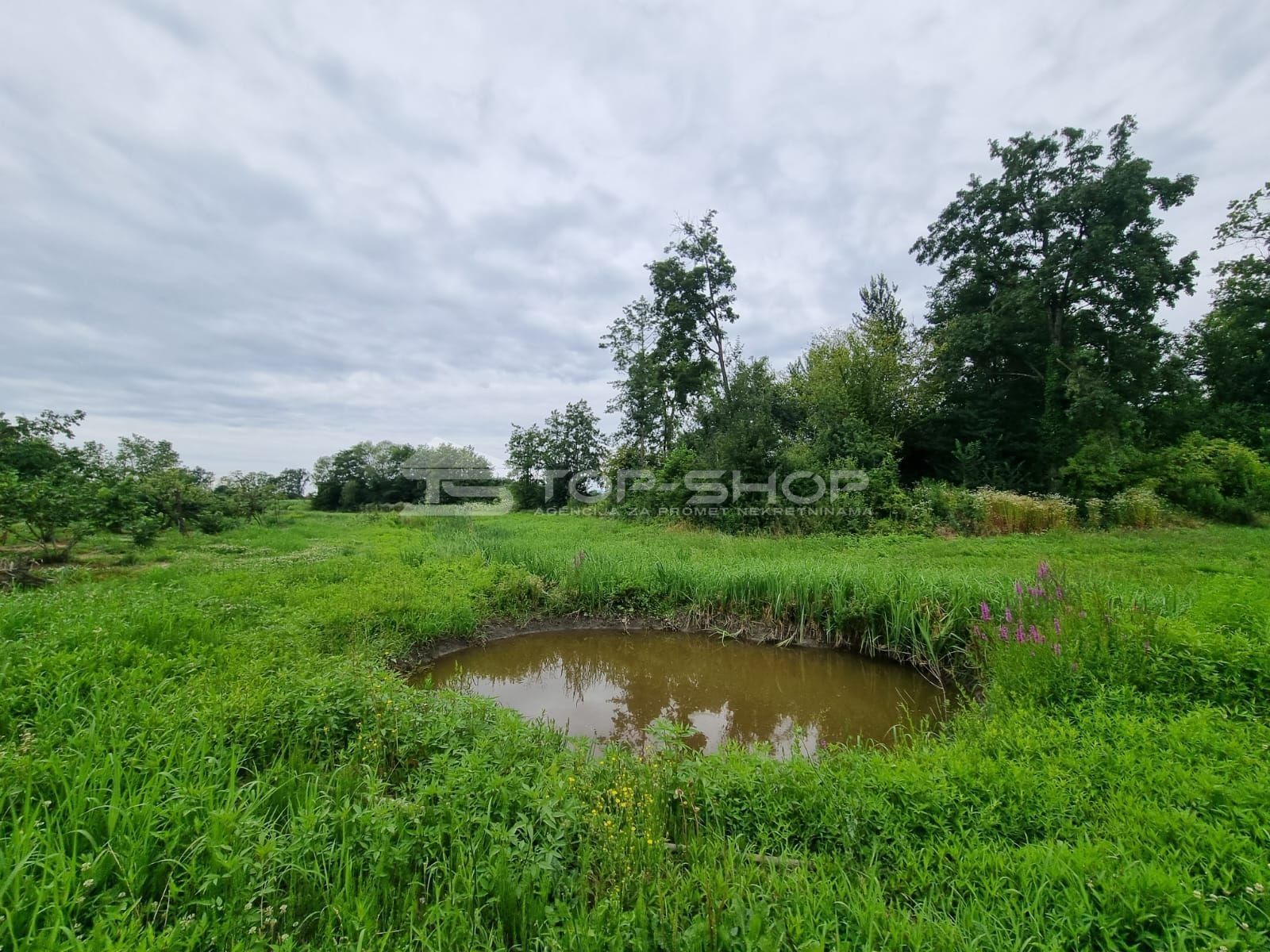 Land-/Forstwirtschaft zum Kauf 266.000 € Strmec Bukevski