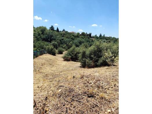 Acker-/Waldstück zum Kauf 95.000 € Uceda 19188
