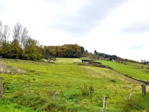 Grundstück zum Kauf 950.000 € 3.600 m² Grundstück Katzenmoos Elzach / Katzenmoos 79215