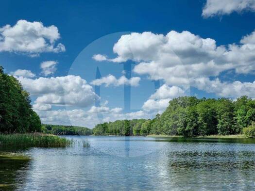 Wohnung zum Kauf 950.000 € 4 Zimmer 140 m² Grunewald Berlin 14193