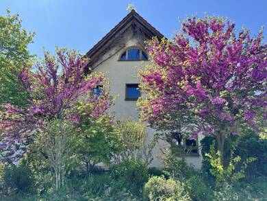 Haus zum Kauf 859.000 € 5 Zimmer 253 m² 566 m² Grundstück Lampertheim Lampertheim 68623
