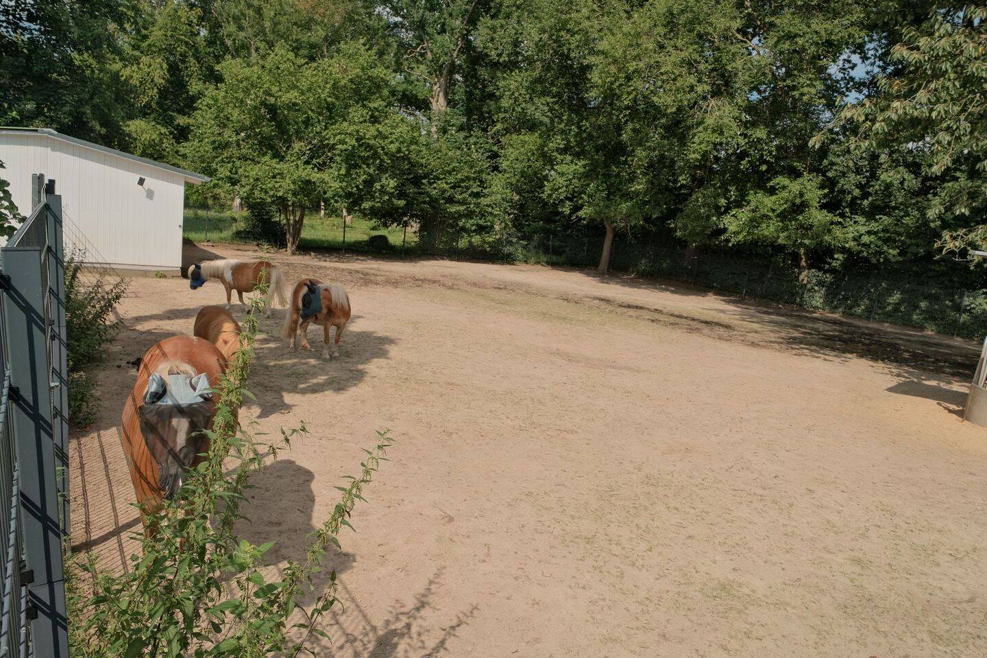 Property thumbnail 13