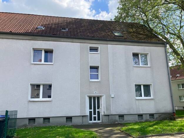 Wohnung zur Miete 386 € 3,5 Zimmer 51,4 m² frei ab sofort An der Friedweide 41 Horst Gelsenkirchen 45899