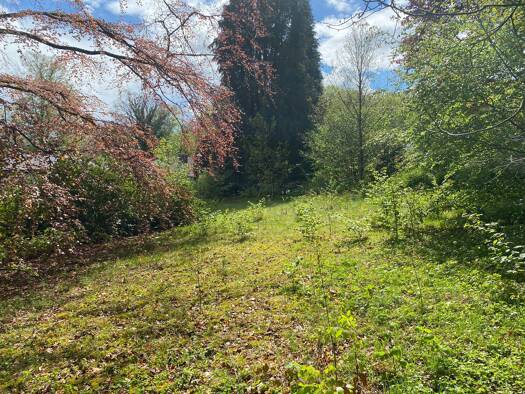 Grundstück zum Kauf provisionsfrei 250.000 € 1.121 m² Grundstück frei ab sofort Marktredwitz Marktredwitz 95615