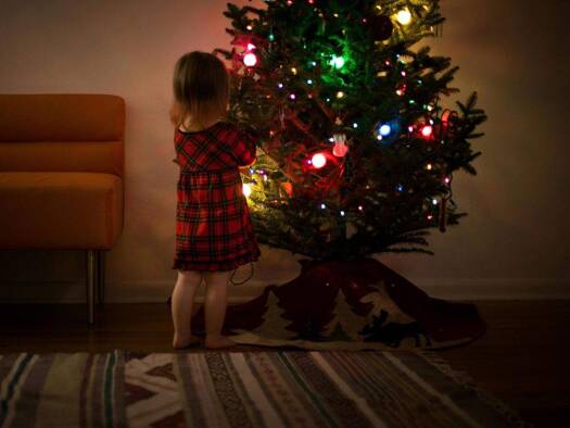 Einfamilienhaus zum Kauf 549.300 € 5 Zimmer 142 m² 606 m² Grundstück Wilschdorf Dürrröhrsdorf-Dittersbach 01833