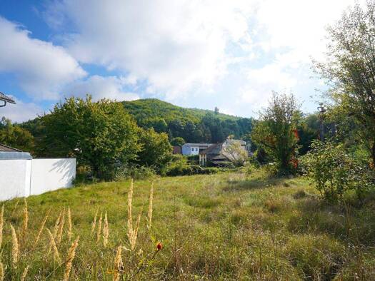 Grundstück zum Kauf 350.000 € 847 m² Grundstück Wolfsgraben 3012