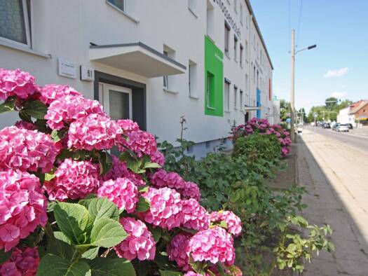 Wohnung zur Miete 375 € 3 Zimmer 60,4 m² 2. Geschoss Friedrichstraße 61 Oschersleben 39387