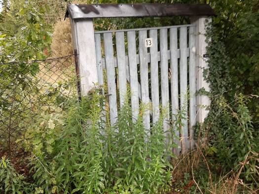 Grundstück zum Kauf 170.000 € 940 m² Grundstück Friedersdorf Heidesee 15754