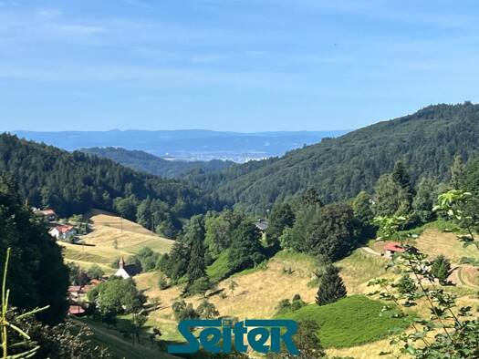 Einfamilienhaus zum Kauf 495.000 € 7 Zimmer 204 m² 698 m² Grundstück Marzell Malsburg-Marzell 79429